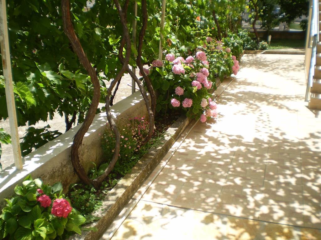 Apartments Tare, Free Parking Vodice Habitación foto